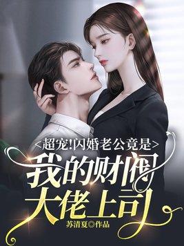 闪婚丈夫是总裁大人