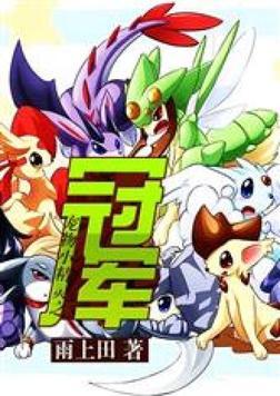 宠物小精灵之冠军百度百科