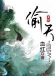 偷天游戏