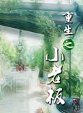 重生之小老板全文免费阅读