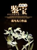 重生之鉴宝大师金锋