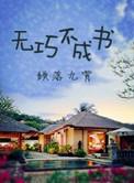 无巧不成书在线阅读