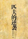 匹夫的逆袭介绍