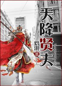 天降贤淑男的