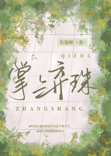 掌上弃珠TXT链接